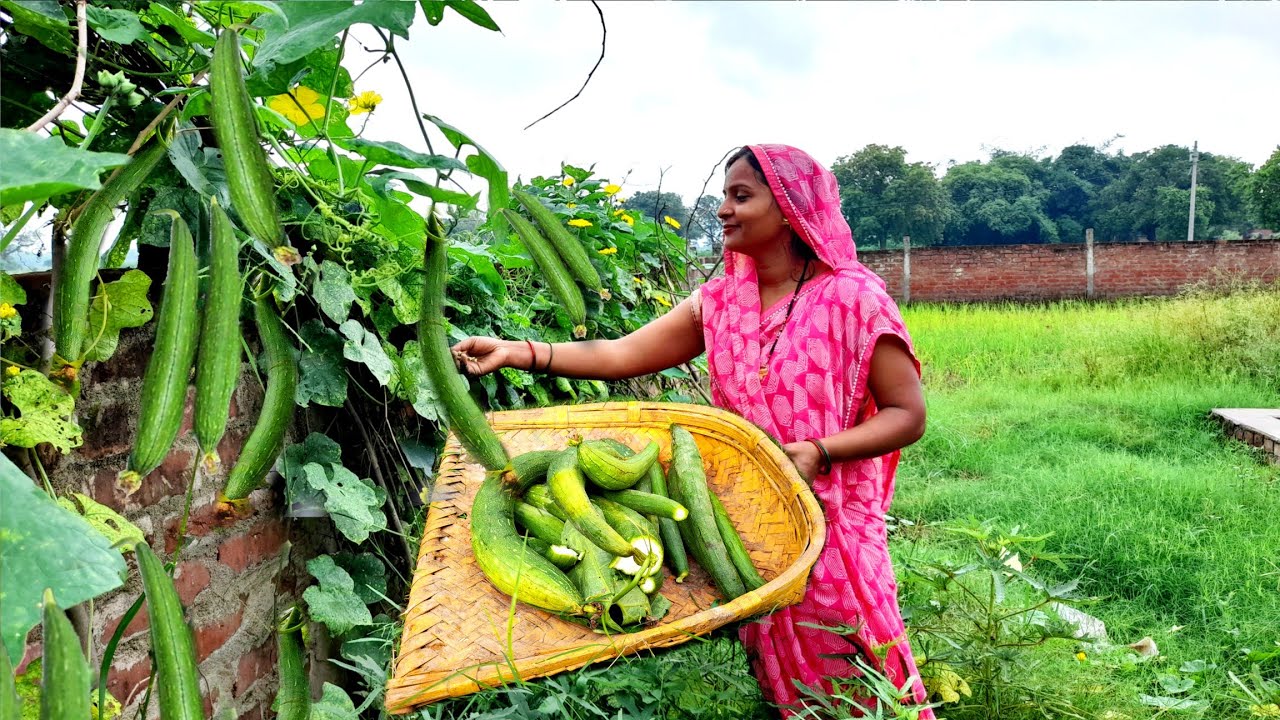 ☔बरसाती नेनुआ (तोरी) की ऐसी 🌶️स्वादिस्ट रेसिपी जो खाते ही मुह का स्वाद बढ़ा दे 😋Nenua Ki Desi Recipe🤷