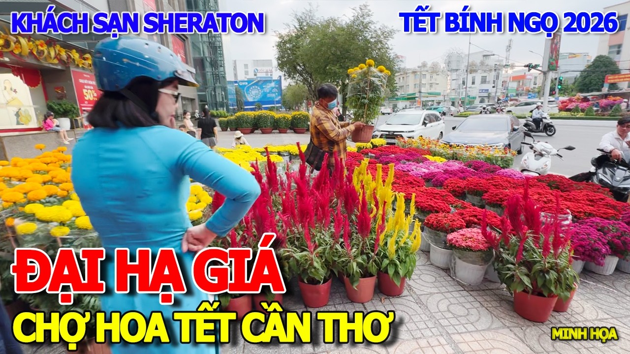 HẠ GIÁ ĐỒNG LOẠT - CHỢ HOA TẾT LỚN NHẤT CẦN THƠ NGẬP TRÀN HOA LAN KIỂNG TRƯNG TẾT HÀNG CHỤC TRIỆU