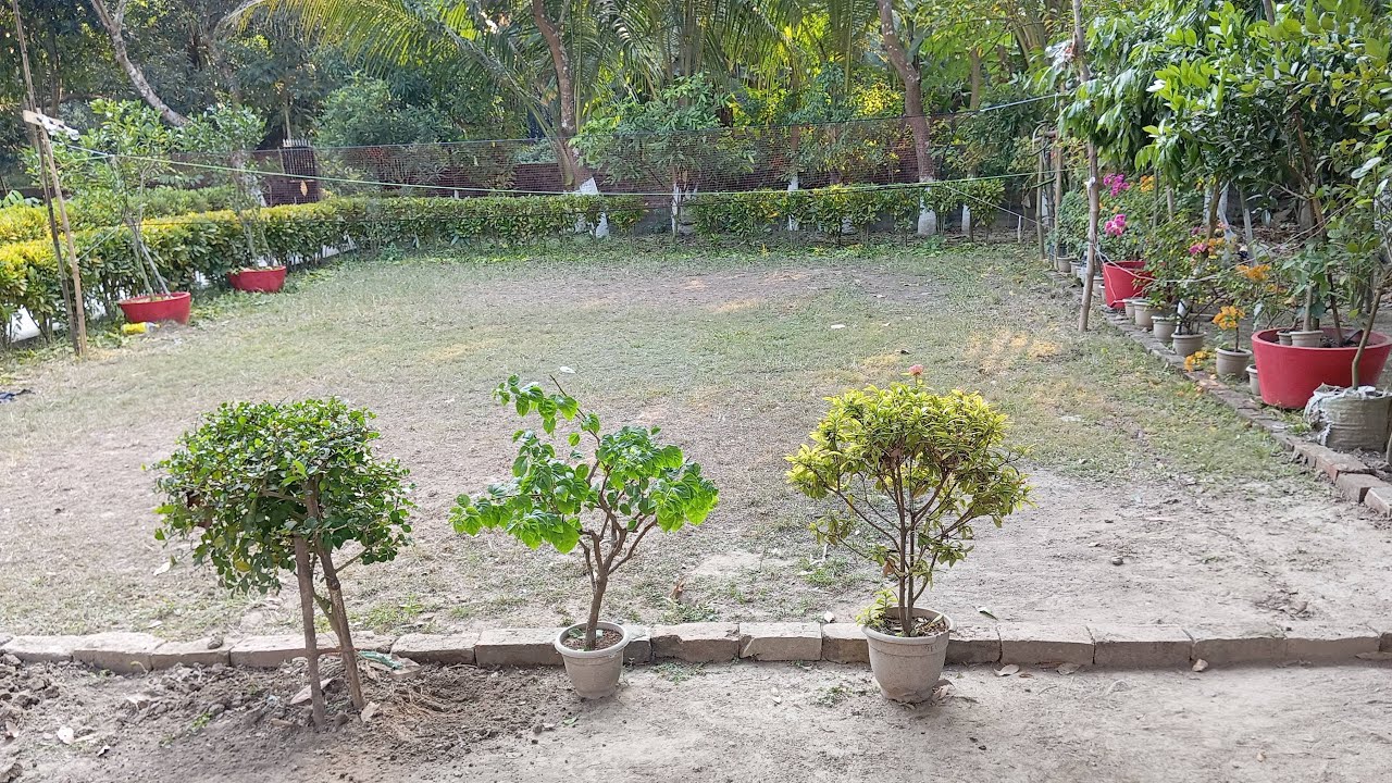 আবারও চলে এলাম Live এ