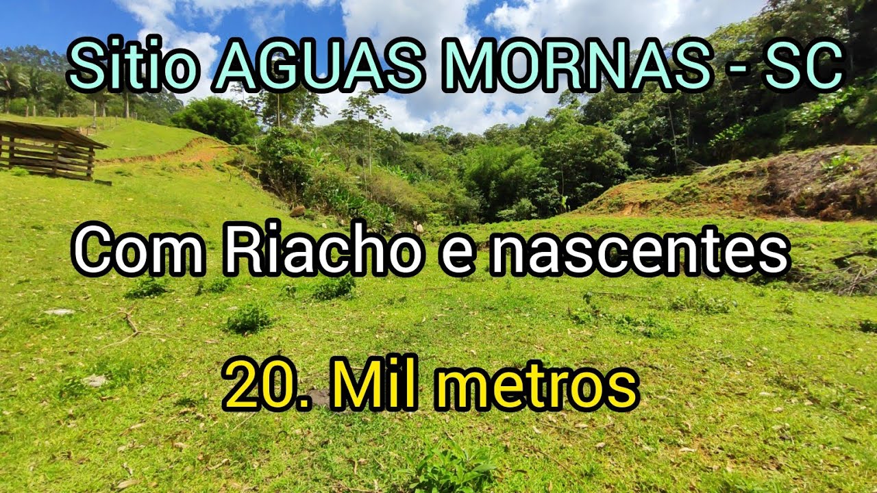 Sitio em Águas Mornas - SC. Com belo riacho, nascentes, natureza, pastagem e internet. R$ 460.000,00