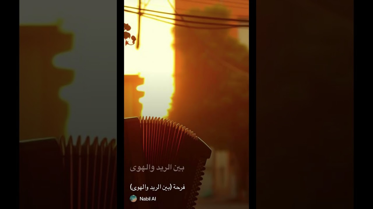فرحة (بين الريد والهوى) محمد وردي