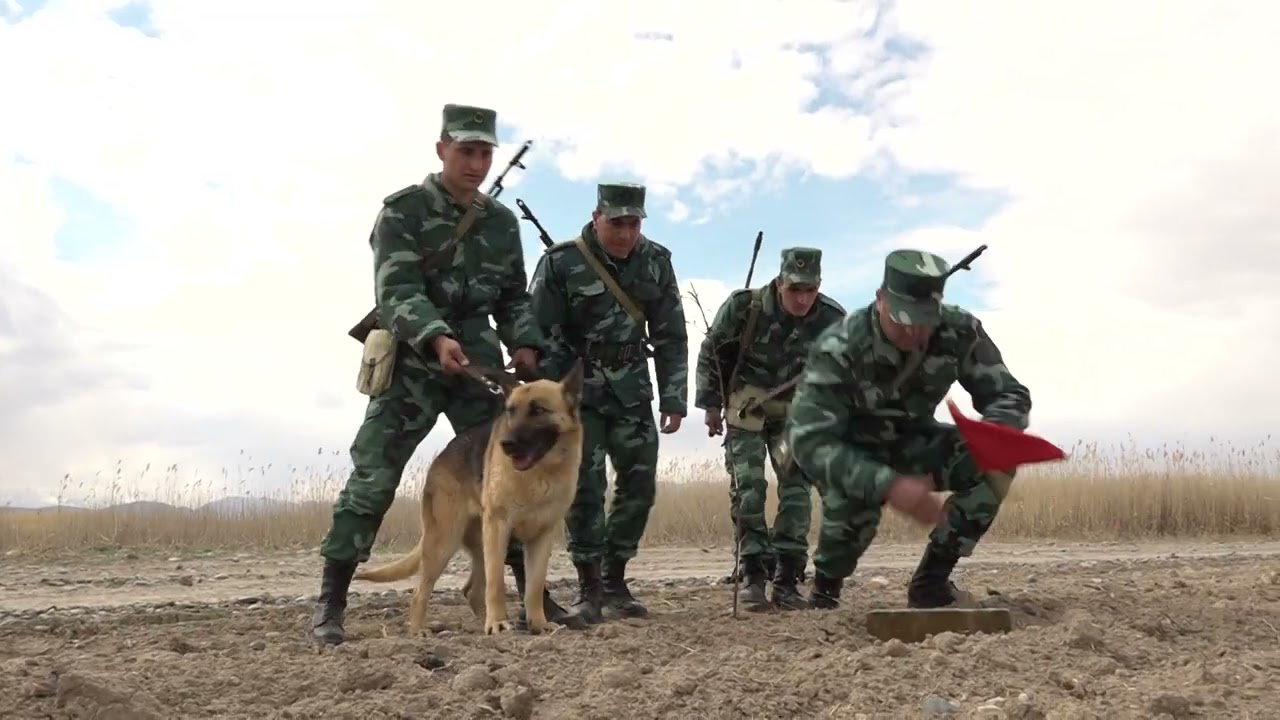 Naxçıvan Qarnizonu  Qoşunlarında taktiki təlim məşqi keçirilib