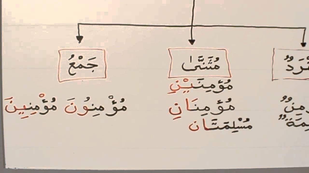 L'Arabe de A à Z - Le Nom #24