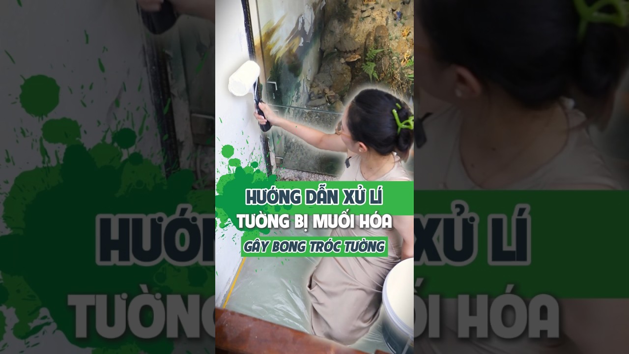 Hướng dẫn xử l&iacute; tường bong tr&oacute;c do muối #sonnuoc #sontrex #sonnha #vuvgroup