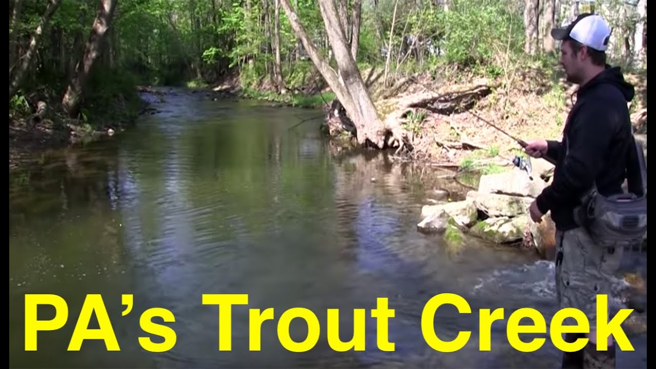 Fishing Pennsylvania's Trout Creek