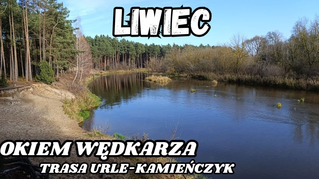 Jesienny LIWIEC okiem WĘDKARZA spacer wzdłuż rzeki na trasie URLE-KAMIEŃCZYK #fishing #spinning