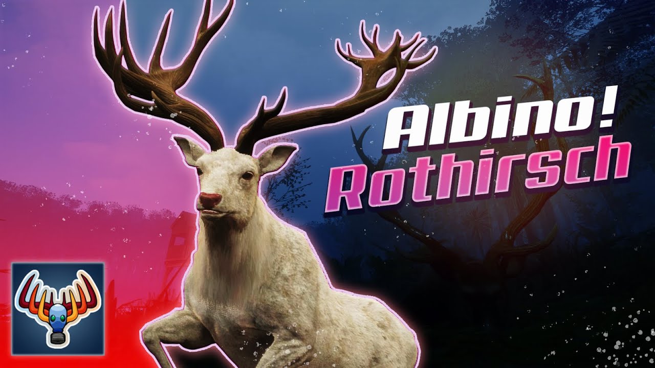 🤍ALBINO ROTHIRSCH🤍❕❔ - GREAT ONE GRIND 1/2! | 002 - The Hunter Call of the Wild - Let's Play Deutsch