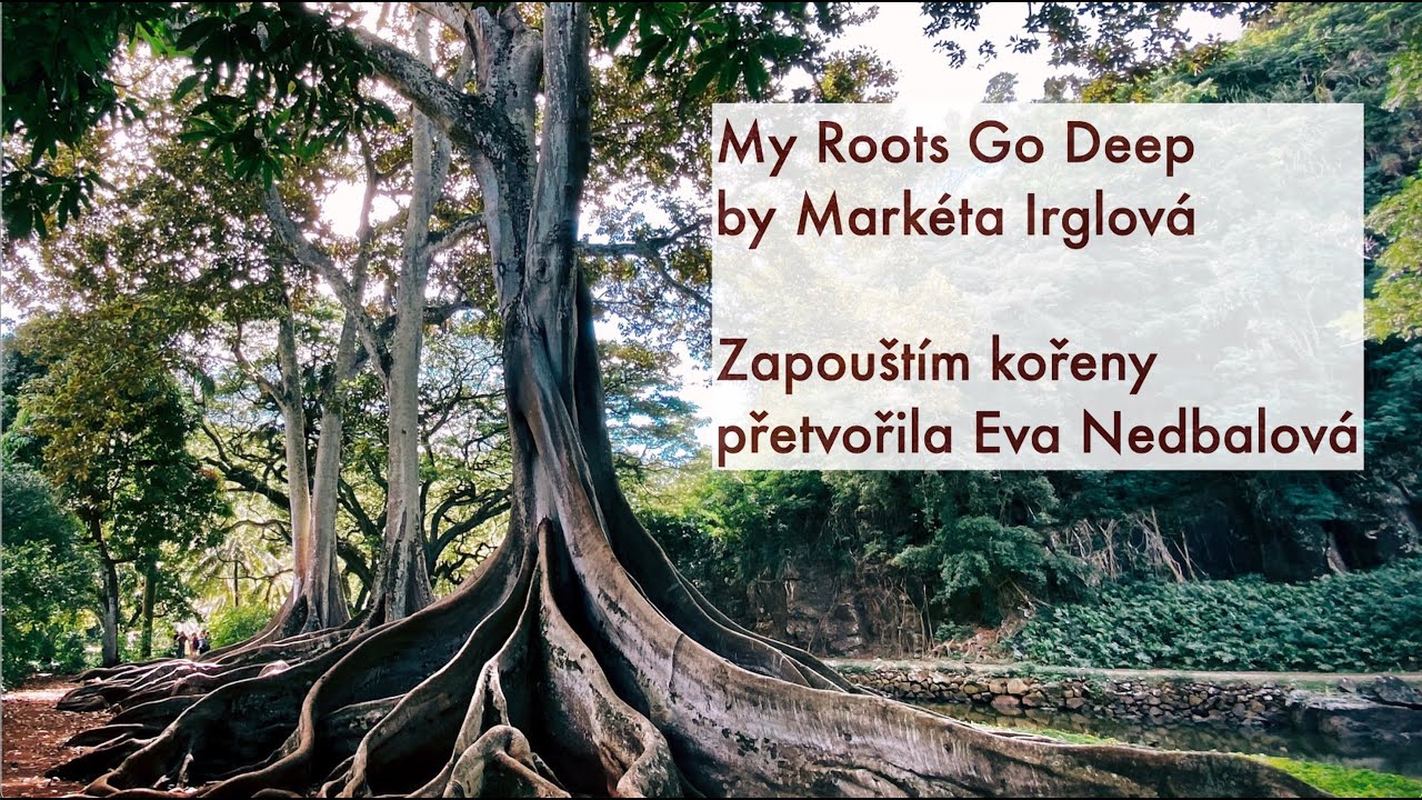 My Roots Go Deep by Markéta Irglová - Zapouštím kořeny - přetvořeno do češtiny