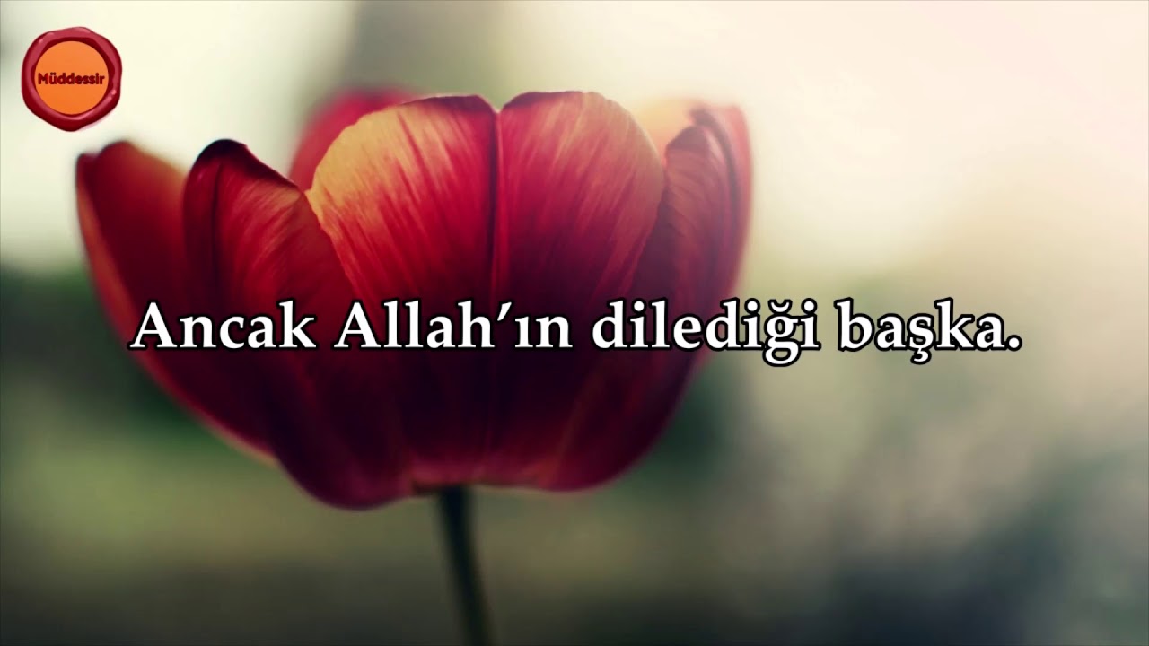 Ala Suresi - Maher al Muaiqly
