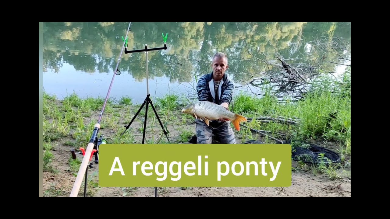 Утренний карп
