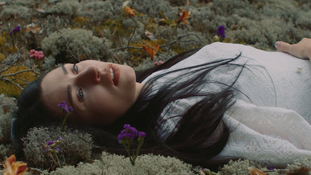 Pavel Khvaleev presents PARAFRAME & Loolacoma - Dismay (Official Music Video)