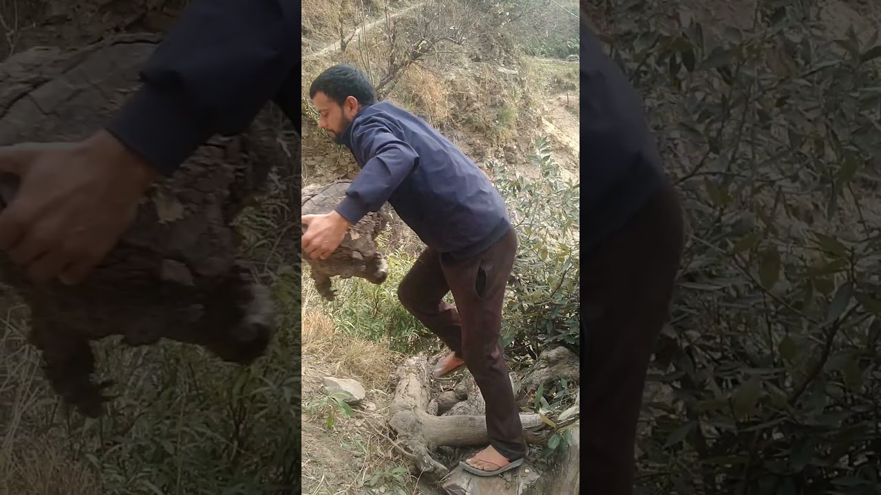 Real Life in a Hill Village | Simple Living, Hard Work