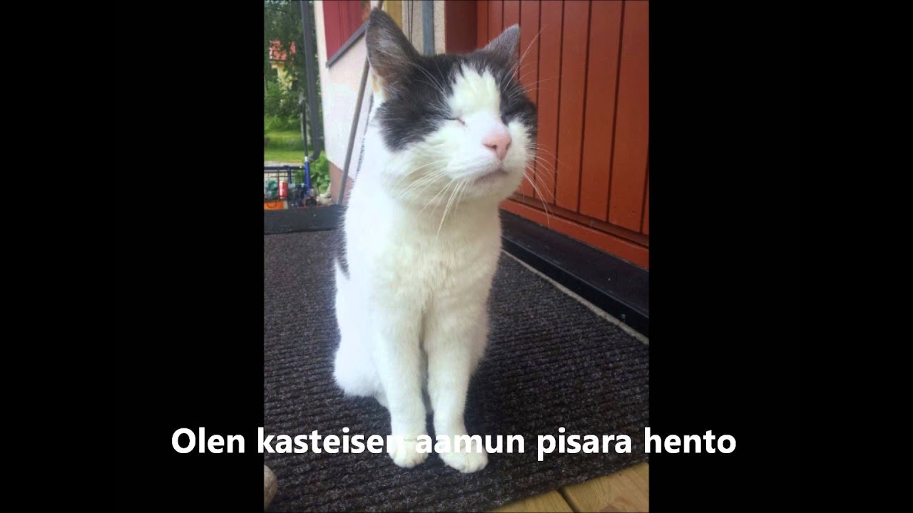Söpön muistolle ♥❤❤❤❤❤❤💖💖💕💕💓💓💗💗💘💘💝💝💝💞💞💞💟💟💟