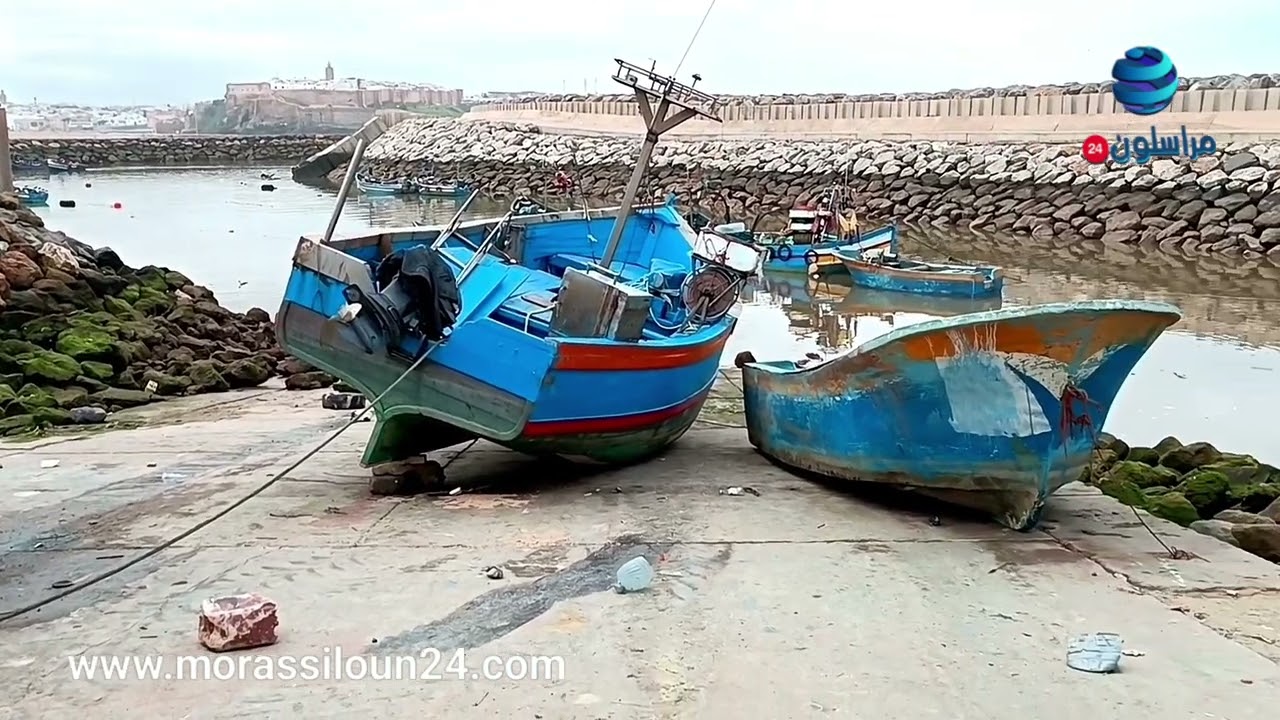 هذه أهم مشاكل و هموم مهنيي أرباب قوارب الصيد التقليدي الرباط - سلا ومطالبهم للنهوض بالقطاع .