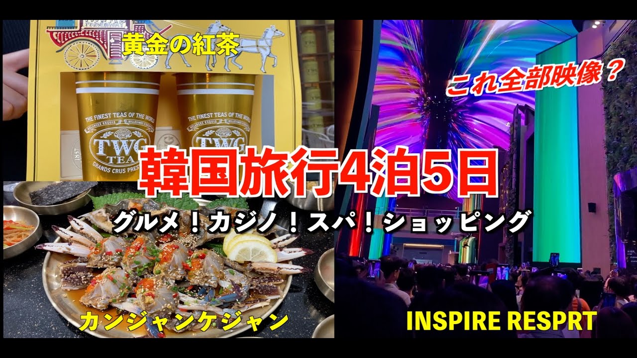 【韓国旅行】✈️初めての韓国で有名観光スポットに行ったら楽しすぎて散財！