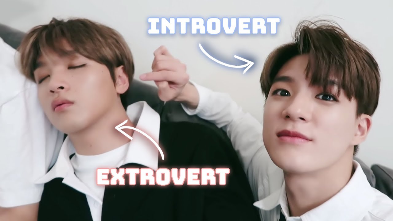 Sorting NCT dream by MBTI personality type