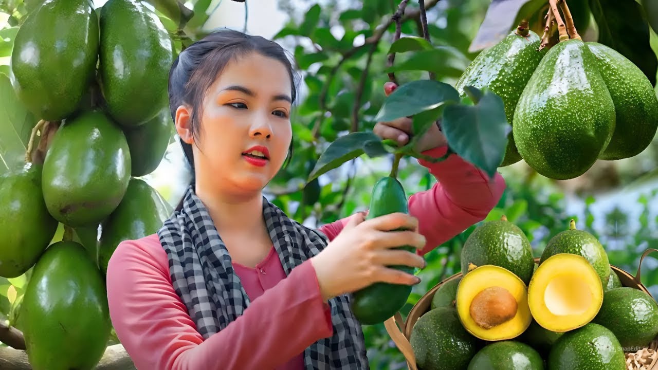Harvesting Avocado, Lemon, Dried Fish, Aloe Vera, Apple, Coconut and Rambutan | Harvest in summer
