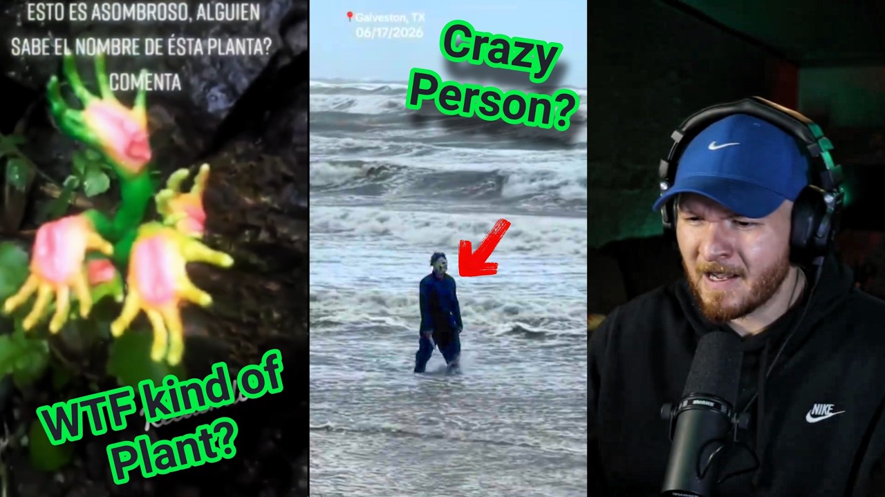 CREEPY tiktoks that made me lose sleep