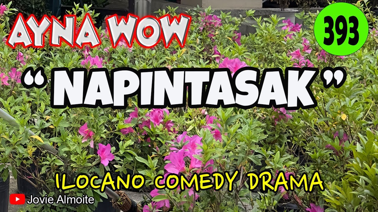 NAPINTASAK | AYNA WOW 393 | ILOCANO COMEDY DRAMA | Jovie Almoite