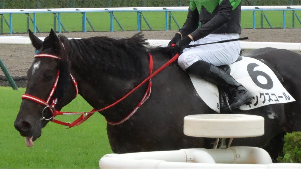 キングスコール　3歳以上2勝クラス　パドック、返し馬、スタート、ゴール