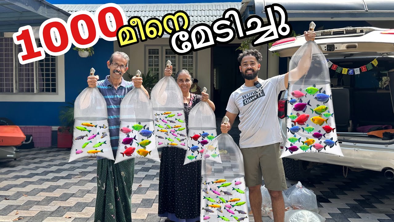 “Surprise” ആയിട്ട് കിട്ടിയ 1000 മീൻ | Surprise GIFT 🎁