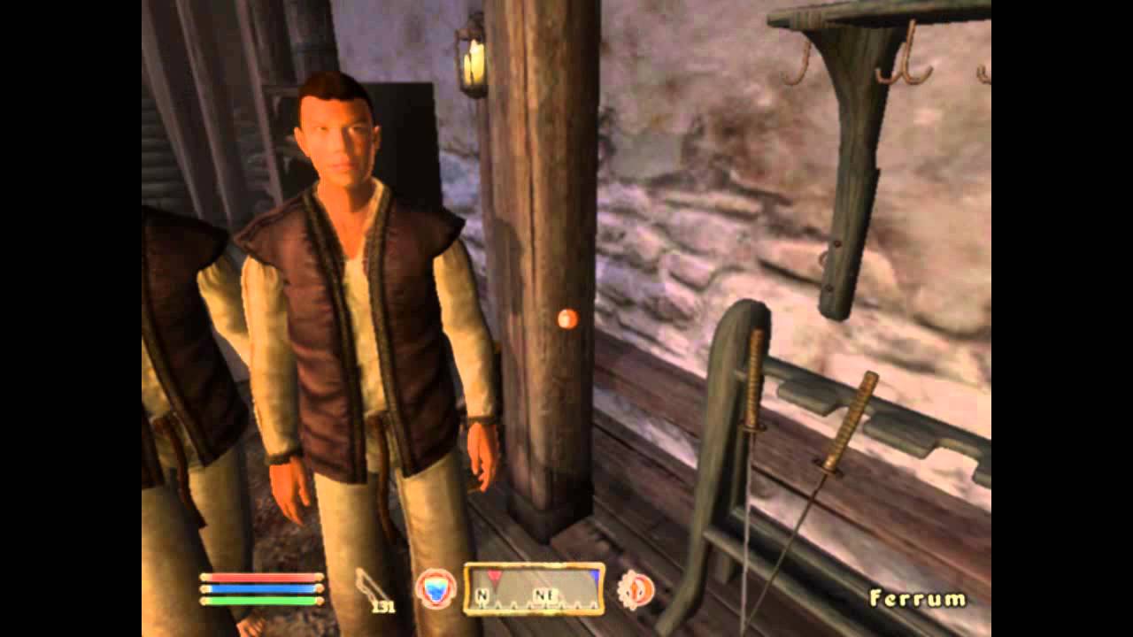 Elder Scrolls IV Oblivion: STOP THIEF!!!