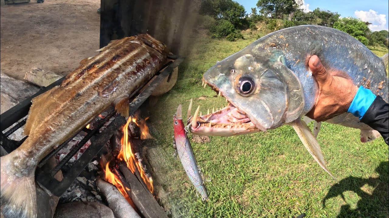 Amigos de la Pesca capitulo 8:  Como pescar y cocinar payaras en ríos de agua cristalina.
