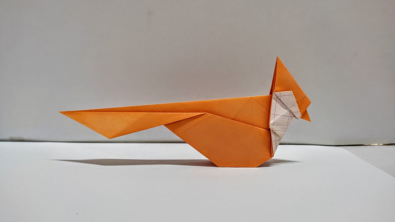 Origami Cardinal Easy Instructions