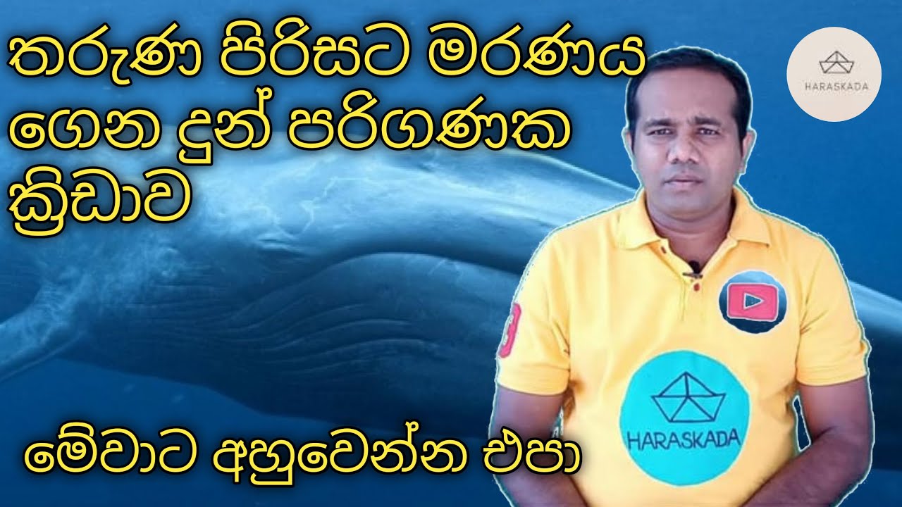 බොහෝ දෙනකුට මරු කැදවු blue whale පරිගණක ක්‍රිඩාව l blue whale computer game bad effects