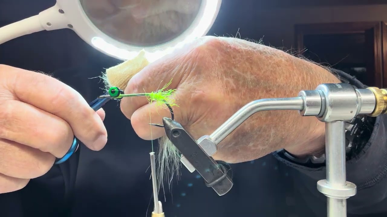 Marsh Mud Minnow video   Mike Dunnaway