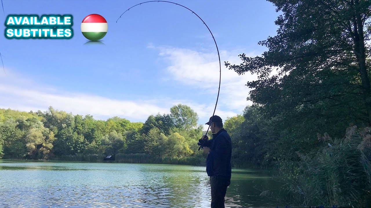 Sipos Gábor - Akcióban a Royal Method Carp feeder bot
