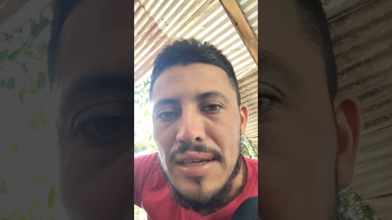 "Conociendo más a las hormigas, con Yohan vindas en Costa Rica"