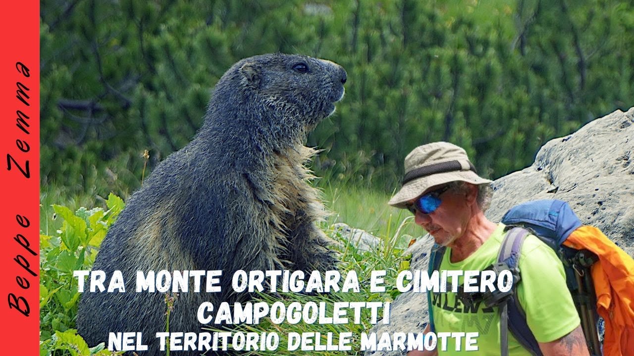 Tra Monte Ortigara e Cimitero Campigoletti attraverso la terra delle marmotte