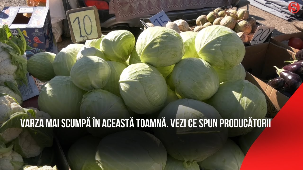 Varza mai scumpă &icirc;n această toamnă. Vezi ce spun producătorii