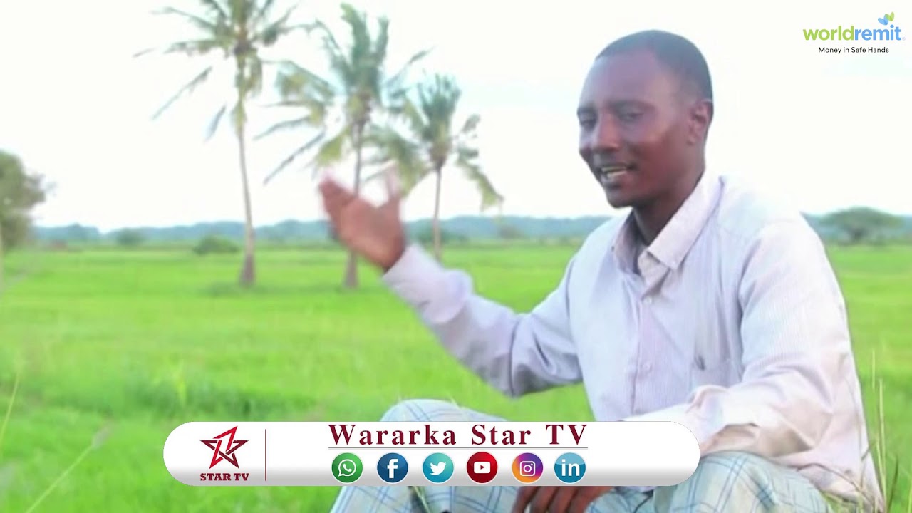 DAAWO WARBIXN  KU SAABSAN BARIISKA MAGALADA JAWHAR KA BAXA OO QIIMIHIISU HOOS U DHACAY