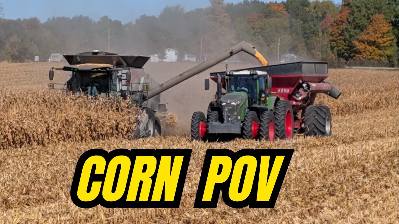 И ещё одна заключительная точка зрения из архива Harvest 2025.