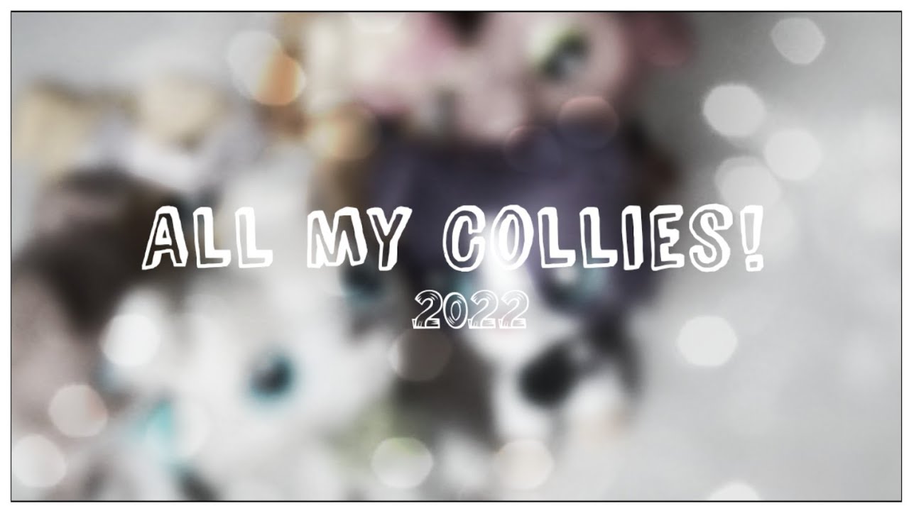 LPS ~ All my Collies! 2022