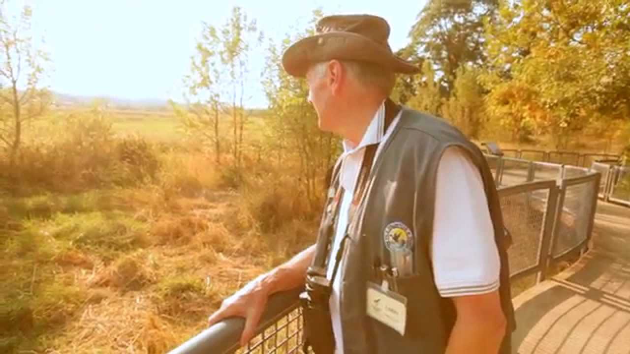 The USFWS Urban Wildlife Conservation Program