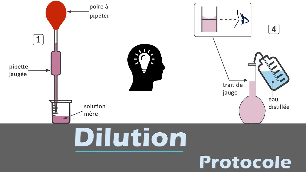 Dilution - 🧪 Protocole | chimie