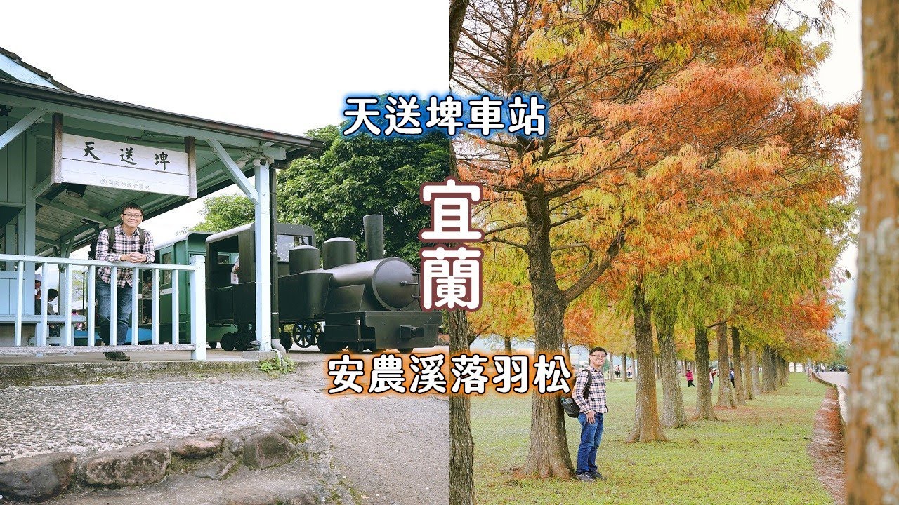 宜蘭終於放晴了！帶你搭公車一日遊，安農溪畔整齊劃一的落羽松變色了以及探索天送埤車站有什麼好玩刺激的設施
