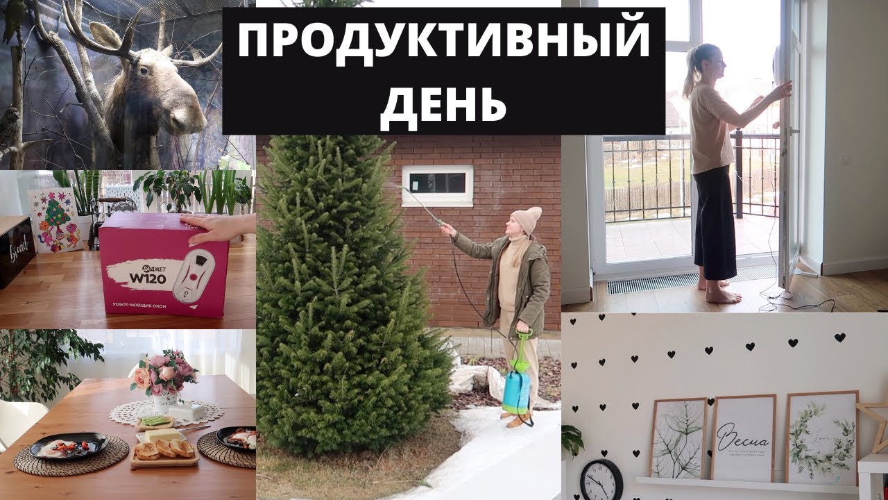 РОБОТ-МОЙЩИК ОКОН▪️ПЕРВЫЕ РАБОТЫ В САДУ▪️УБОРКА▪️ПОЕЗДКА В ЗАПОВЕДНИК