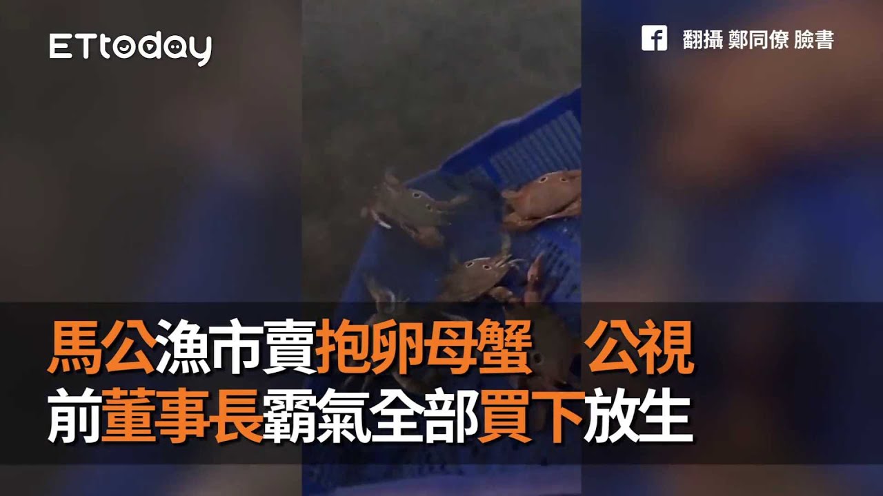 馬公漁市賣抱卵母蟹　公視前董事長霸氣全部買下放生