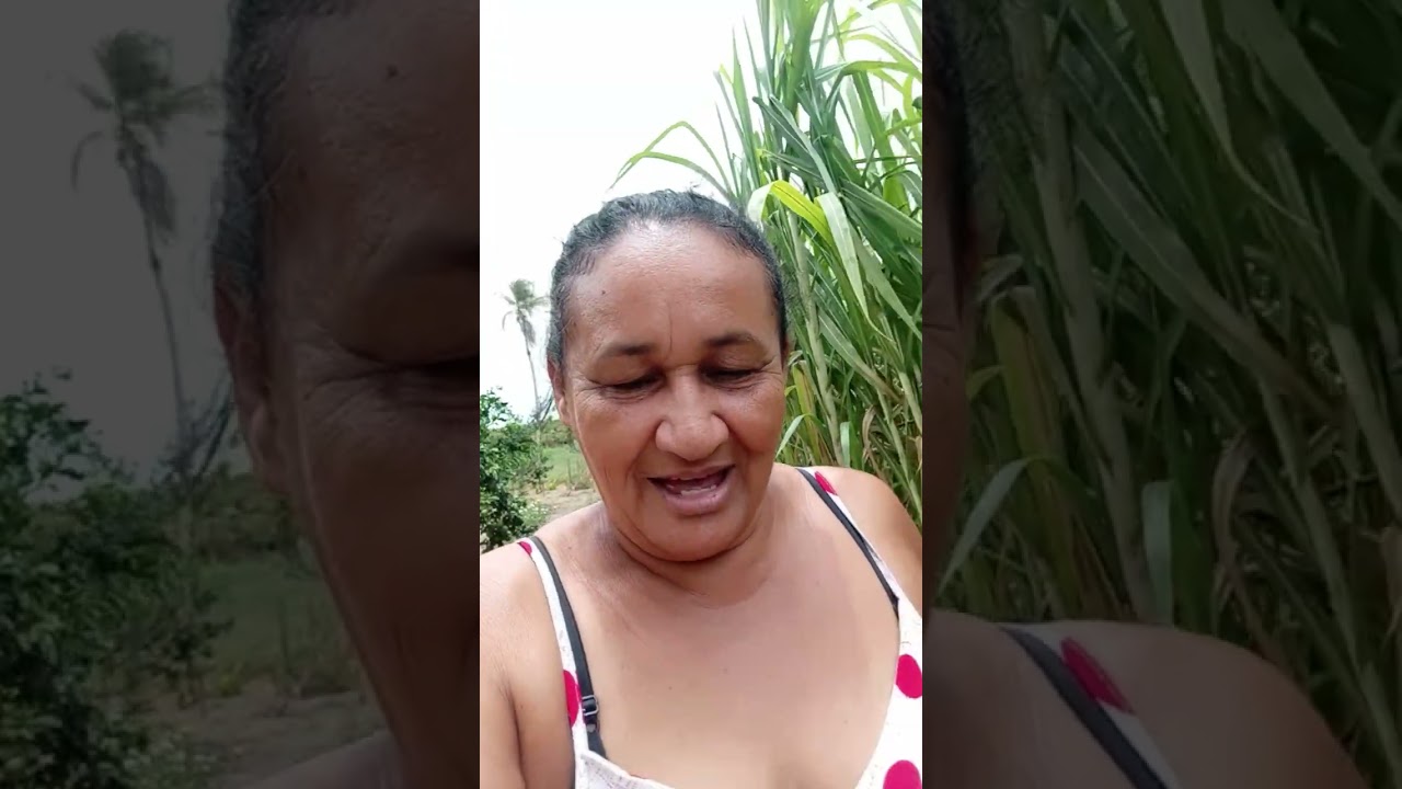 Mostrando um pouco do sítio e das plantações #sítio #plantações #interior 