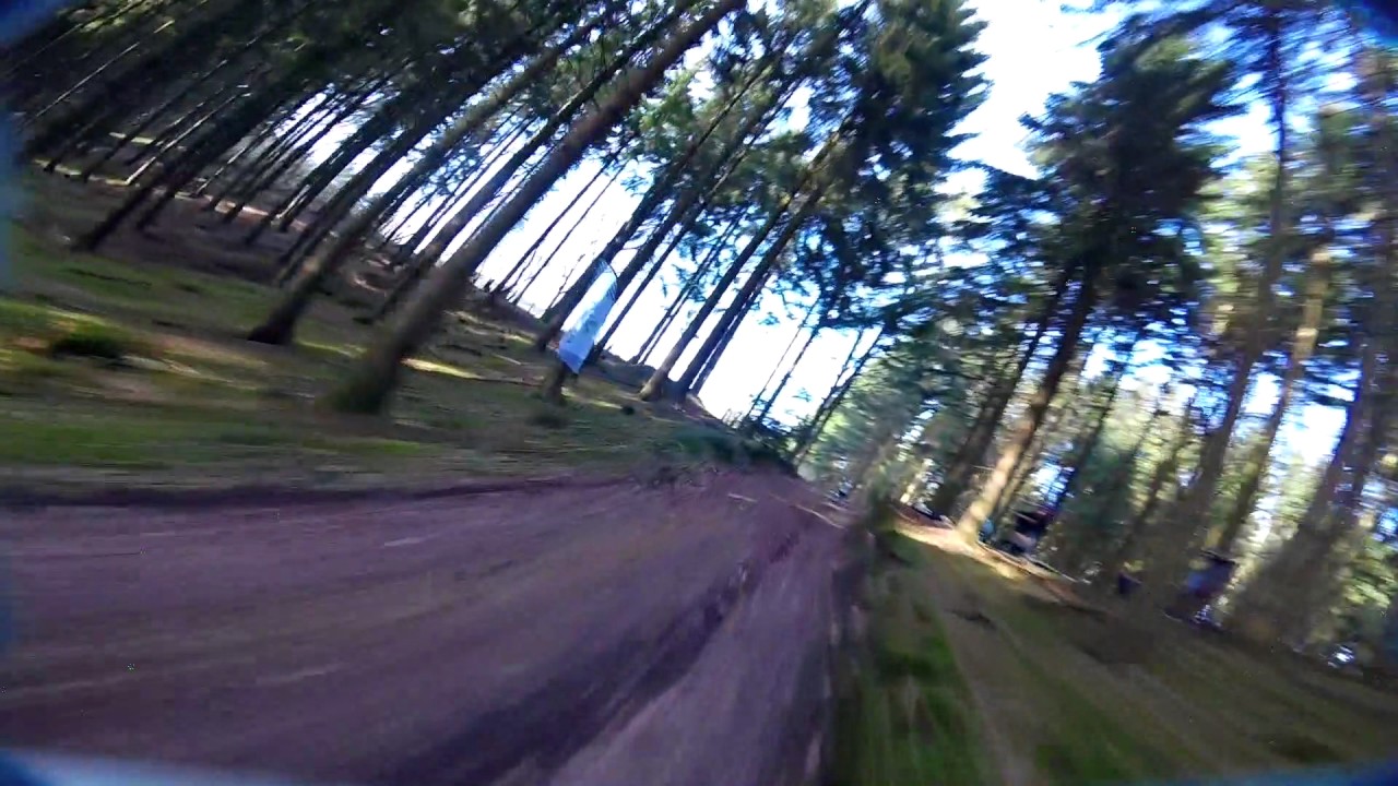 Lumenier QAV-XS - Forest FPV Race Track