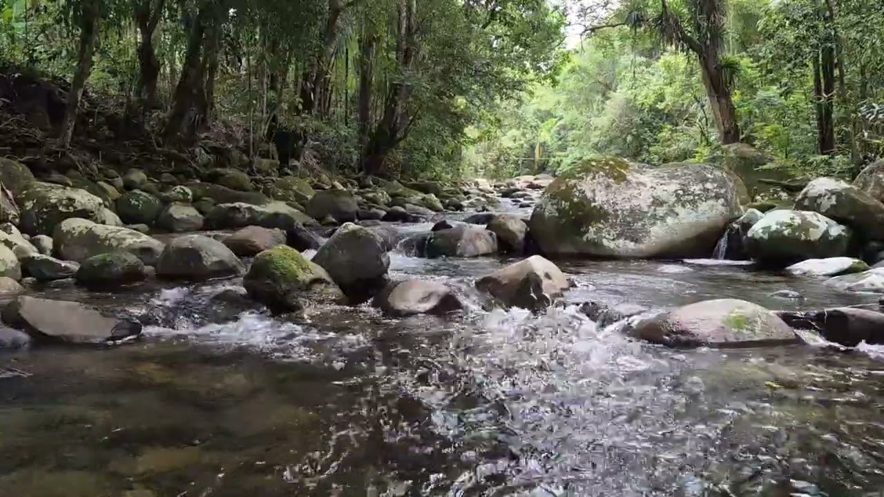 Som Suave de Água Corrente | Rio Natural para Relaxar, Meditar e Descansar | 1 Hora