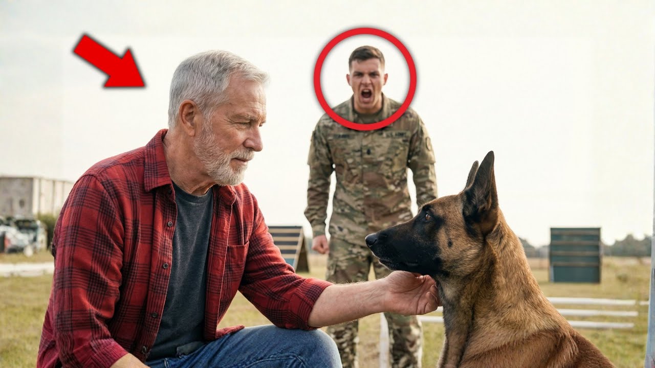 Veteran Homeless Man Gave One Command — and the Military K9 Obeyed No One Else