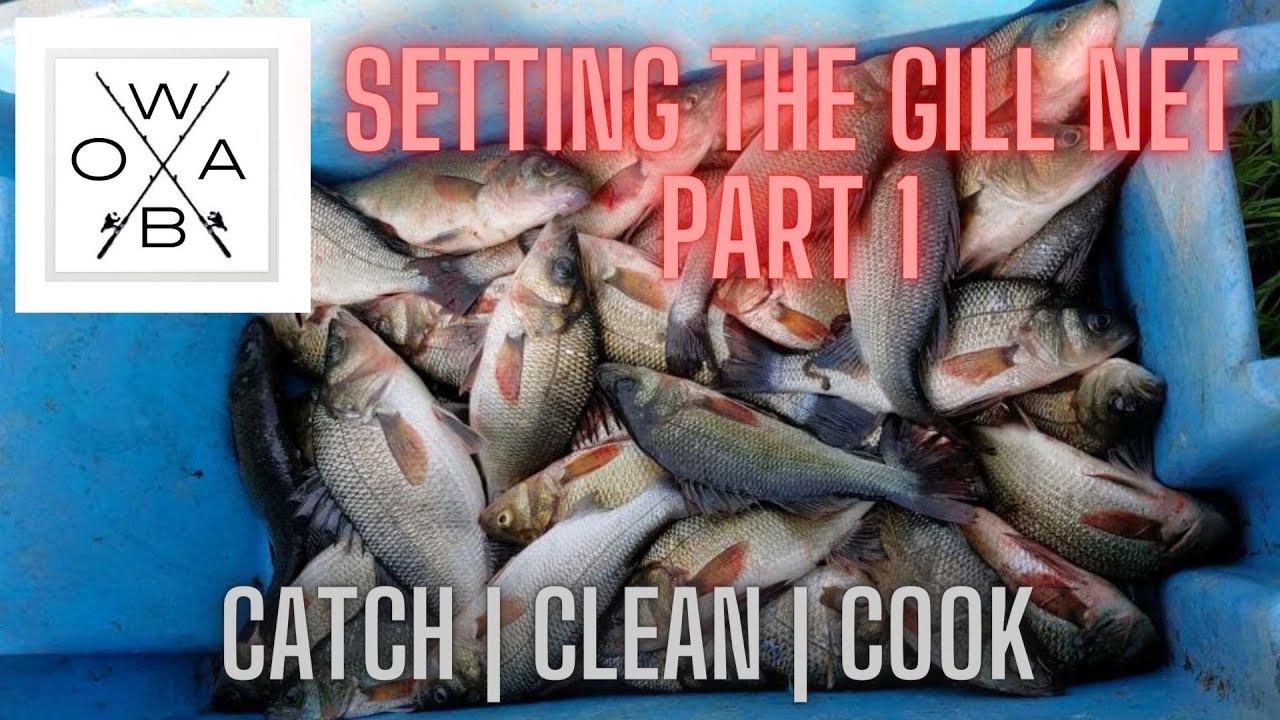 Gill Netting Pt 1 - Perch - Catch|Clean|Cook