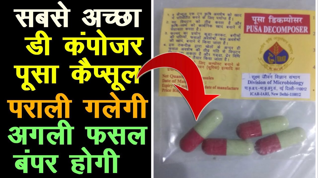 पूसा कैप्सूल, सबसे अच्छा डी कंपोजर, यहां मिलेगा, पराली गलेगी, अगली फसल बंपर होगी # Organic farming