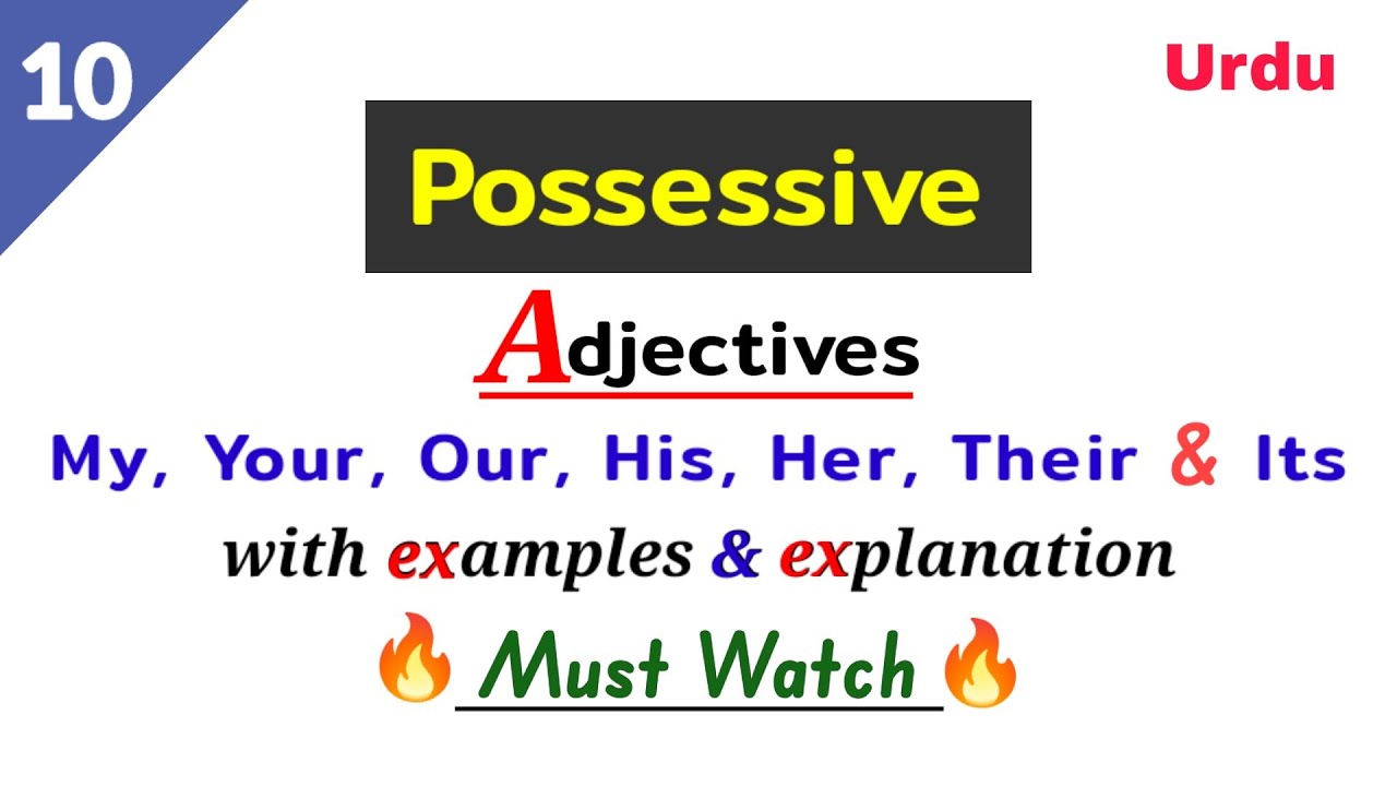 Possessive adjectives | Possessive adjective | what is possessive adjective