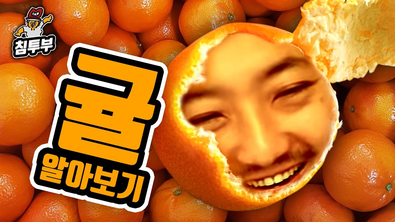 귤(Mandarin orange)에 대해 알아보자